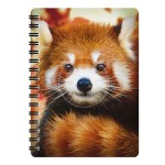 3D LIVELIFE JOTTERS - BABY RED PANDA