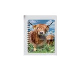 3D LIVELIFE JOTTERS - HIGHLAND CATTLE