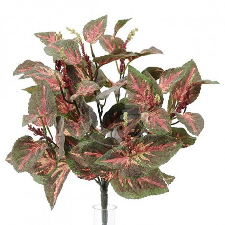 COLEUS PIANTA 37CM GP001