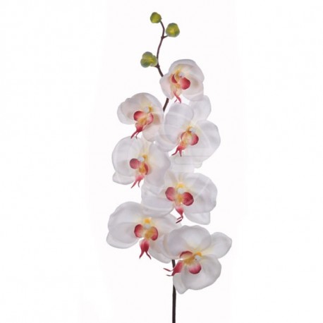 ORCHIDEA PHALAENOPSIS 78 CM OR014