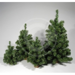 PINETTO ECOLOGY EM04 40CM