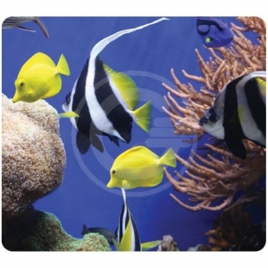 MOUSEPAD ECOLOGICO 5909301