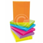 CARTELLINA PPL 3 LEMBI FLUO DORSO 3,7 CM