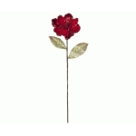 MAGNOLIA ROSSA