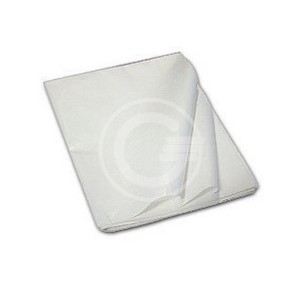 CARTA VELINA BIANCA 100X140 22 GR.100 FG