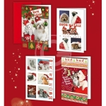 BIGLIETTI NATALE  ASS. 11,7X17  CONF12