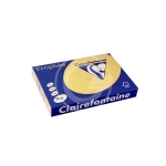 CARTA TROPHEE 80GR.A3 BOUTON D'OR