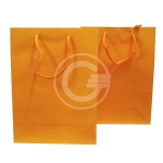 SHOPPER CARTA 120GR  16X8X19 CONF12