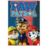 MAXI 18+1 100GR PAW PATROL A