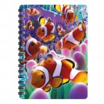 3D LIVELIFE JOTTERS - CLOWN FISH