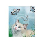 3D LIVELIFE MAGNETS - RAGDOLL