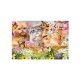 3D LIVELIFE MAGNETS - KITTEN FUN TIME