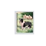 3D LIVELIFE JOTTERS - BORDER COLLIE