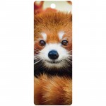 3D LIVELIFE SEGNAPAGINA - BABY RED PANDA