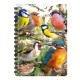 3D LIVELIFE JOTTERS - NATURE HOME