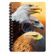 3D LIVELIFE JOTTERS - THREE EAGLES