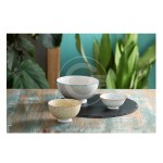 CIOTOLE CERAMICA STONEWARE MONET PZ.4