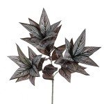 RAMO FOGLIA CALATHEA X 39FG 70 CM