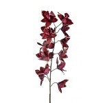 CYMBIDIUM RAMO C/GLITTER 76 CM