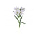 ALSTROMERIA 62 cm WHITE SCR885