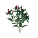 RAMO PEPERONCINO 60 CM