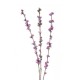 PRUNUS 1 PZ 86 CM NATURALE OLD PINK