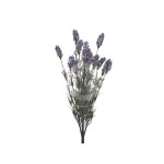 LAVANDA X 15 H61 CM